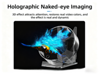 Ventilateur holographique mini LED RAYBO 35CM avec support de batterie externe USB, projecteur publicitaire portable de bureau, nouveau modèle