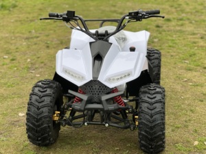 <span class=keywords><strong>Quad</strong></span> 4 roues tout-terrain robuste 125cc 4 temps pour adolescents - Product Image 3