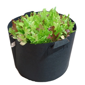 Dégradable 100% Compostables Couleur Noire 5 Gal 18L Tissu Pots de Plantes Cultiver Des Champignons Semis De Plantes Sacs - Product Image 5