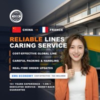 Meilleur service d'expédition de fret maritime et aérien de Chine vers les États-Unis, porte-à-porte, DDP, agent transitaire depuis Shanghai