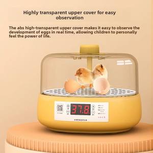 Incubateur d'œufs intelligent entièrement automatique pour petits élevages domestiques, avec lit d'eau, pour œufs de cailles, de poussins et de perroquets - Product Image 4