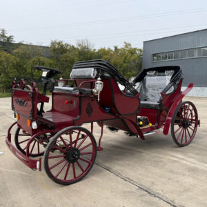 Chariot royal de tourisme luxueux à quatre roues, chariot tiré par des chevaux - Product Image 1