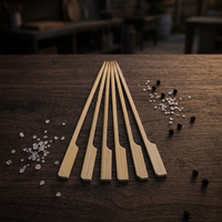 Brochettes jetables en bambou pour barbecue – Ensemble d'outils de camping et de barbecue d'extérieur avec logo personnalisé, plus de 12 pièces, faciles à nettoyer et soudées