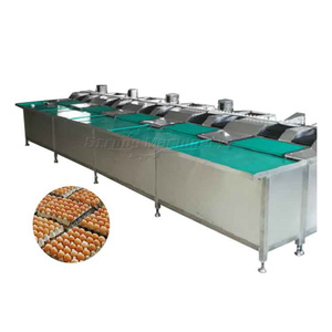 เครื่องคัดแยกไข่อัตโนมัติเครื่องคัดแยกไข่ - Product Image 3