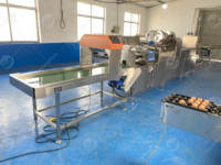 Machine de traitement des œufs de qualité alimentaire ORME, ligne de lavage et de calibrage des œufs de poule et de canard pour l'industrie agroalimentaire