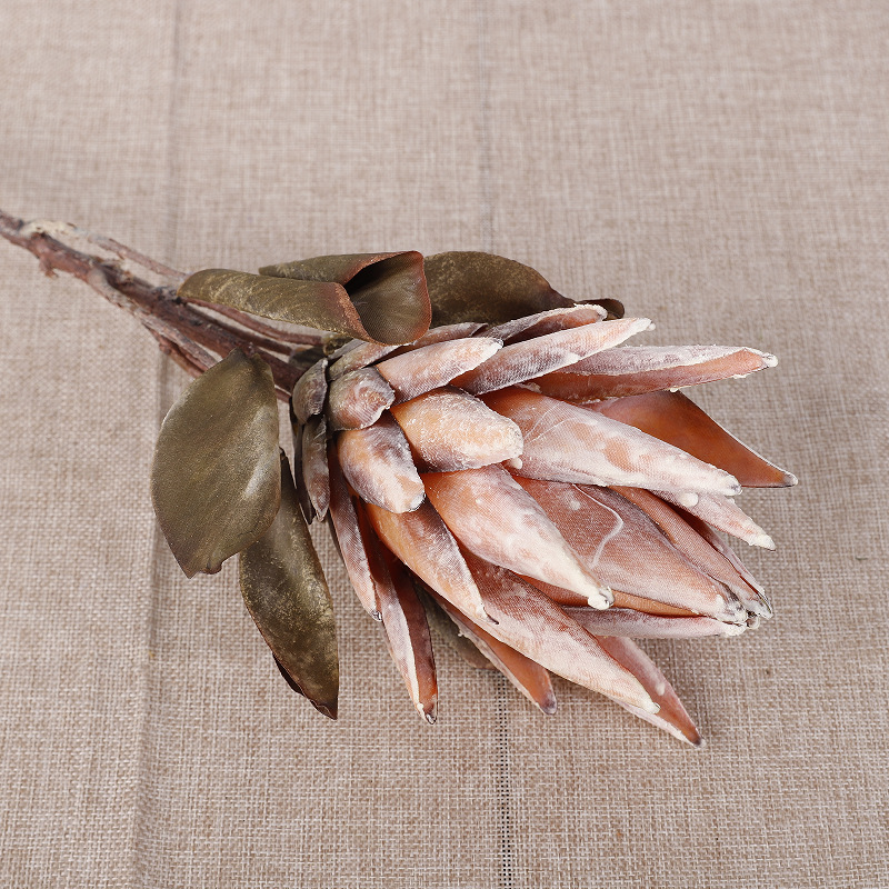 Small King Protea [Yellow]