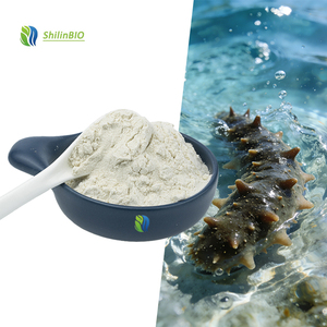 SLBIO Supply - <span class=keywords><strong>Polvo</strong></span> de Péptidos de Pepino de Mar al 90%, Extracto de Pepino de Mar de Grado Alimenticio - Product Image 3