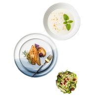 Ensemble de vaisselle ronde ombrée Assiettes de présentation de mariage en porcelaine avec argile pour les dîners de restaurant à la maison