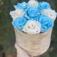 Boîte rose, boîte à roses, roses éternelles, anniversaire, amour éternel, roses préservées dans un coffret en velours, cadeaux pour filles, coffrets cadeaux pour sœurs, fête des mères