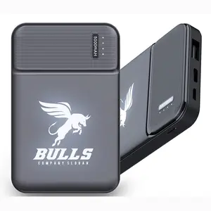 High-Anfrage OEM tragbares Geschenk benutzer definierte LED LOGO Kraftwerk Versorgung Outdoor Quelle Schnell ladegerät Batterie ladung Power Bank