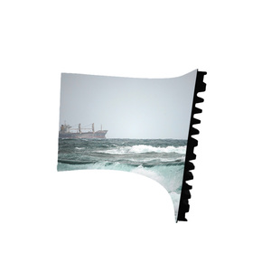 Chất lượng cao New linh hoạt cong màn hình <span class=keywords><strong>LED</strong></span> Hot Bán tùy chỉnh linh hoạt <span class=keywords><strong>LED</strong></span> bảng điều chỉnh màn hình hiển thị - Product Image 3