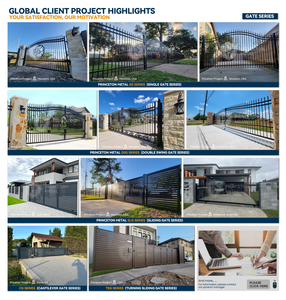 Princeton Cổng Bất Động Sản Riêng Tư Bằng Nhôm Cổng Tự Động Chạy Bằng Điện Cổng Trượt Hẫng - Product Image 6