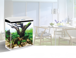 Meilleur vendeur, <span class=keywords><strong>aquarium</strong></span> en verre SOBO, lumière LED, filtre, pompe, <span class=keywords><strong>mini</strong></span> <span class=keywords><strong>aquarium</strong></span> populaire pour bureau - Product Image 4