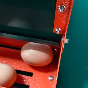Nueva Caja de Nidificación Automática para Gallinas, Resistente a la Intemperie, de Acero Galvanizado, Fácil de Operar, con 2 Años de Garantía - Product Image 6