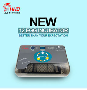 <span class=keywords><strong>HHD</strong></span> automatique de marque <span class=keywords><strong>hhd</strong></span> 12 incubateur d'oeufs de poulet YZ9-12 - Product Image 3