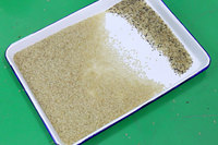 Trieuse optique de riz haute capacité pour la séparation du millet jaune