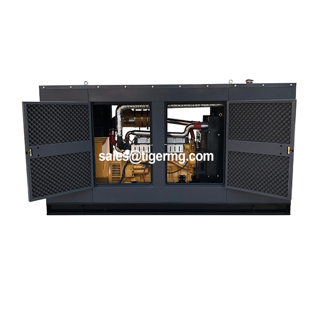 20kw Silent Ac Dual Generator Sets Standby Power lpg Natural Gas Biogas Generator