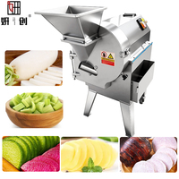 Commerciële groente- en fruitsnijder, groente- en fruitsnijmachine, leverancier van drievoudige groentemachines