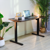 Bureau électrique personnalisé à moteur unique en métal blanc Bureau d'ordinateur réglable en hauteur Table de bureau debout de levage