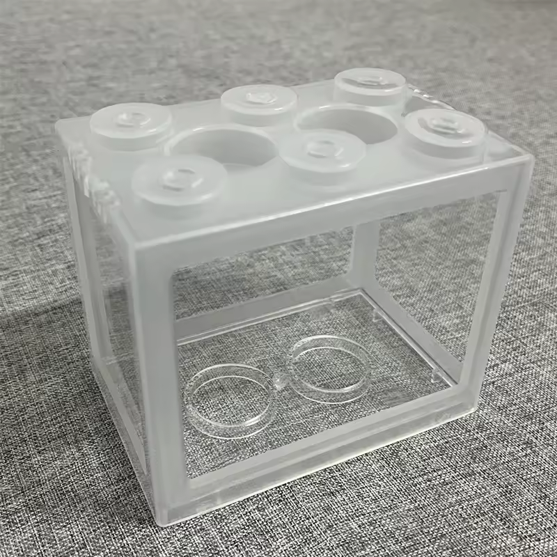 Lumières transparentes non incluses