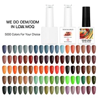 HEMA DI HEMA Free Soak Off LED UV Nail Gel Polish 5000 Couleurs Pinceau à pointe fine Zéro traces pour Salon Commercial Échantillons Gratuits