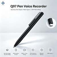 Enregistreur vocal caché en forme de stylo Q97 17.01
