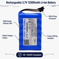 Paket Baterai Lithium Kustom 3.7V 12000mAh 18650 1s6p Dapat Diisi Ulang untuk Laptop, Power Bank, Vacuum Cleaner, Perangkat Kecil