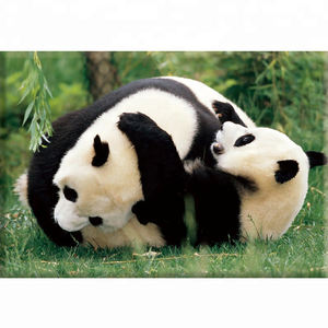 Peinture Diamant 5D Géante Personnalisée Faite à la Main, Motif <span class=keywords><strong>Panda</strong></span>, sur Toile à Poils Courts, pour Décoration Intérieure - Vente en Gros - Product Image 1