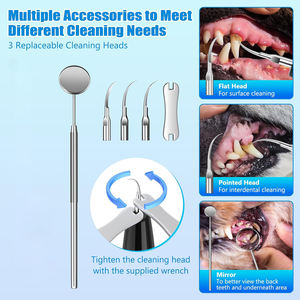 Eliminador de placa con luz LED Kit de <span class=keywords><strong>limpieza</strong></span> de dientes 5 modos para <span class=keywords><strong>perros</strong></span> y gatos Eliminador de sarro de <span class=keywords><strong>perros</strong></span> para dientes - Product Image 6