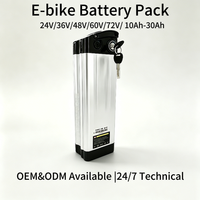 Remplacement de batterie de vélo électrique pour le recyclage 24V 36V 48V 60V 72V |   Batterie au phosphate de fer et de lithium 15Ah 20Ah 25Ah 30Ah