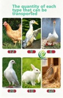 Cage de transport en plastique de haute qualité pour volailles et bétail, idéale pour canards, lapins, oies, cailles, poulets de chair et poules pondeuses – Cages de rotation longues