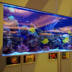 Aquaria <span class=keywords><strong>Aquarium</strong></span> & Accessoire Vis <span class=keywords><strong>Aquarium</strong></span> Plastic <span class=keywords><strong>Type</strong></span> En Aquaria & Accessoires - Product Image 6