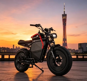 Retro-style Adult Bike-outdoor Adventure City Commuting Wide Tires Brushless Motor Aluminum Frame 13ah X11 High-powered Motor 5 - Product Image 1