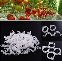 50 pièces/sac, clips de soutien pour plantes, clips pour vignes de tomates, clips pour treillis de tomates, pour faire pousser les légumes grimpants et les tomates debout