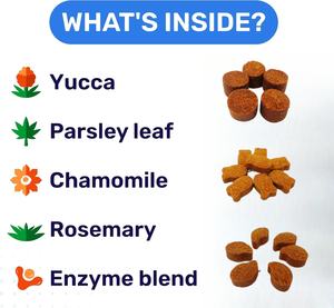 عينة مجانية بالجملة مصنع الرعاية الصحية للحيوانات الأليفة والمكملات الغذائية يمضغ لينة مع مزيج إنزيم وقف الكلاب والقطط الأكل أنبوب - Product Image 4