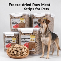 Friandises pour animaux de compagnie : Bâtonnets de viande crue lyophilisés, purs et naturels, riches en protéines et vitamines, pour chats et chiens (OEM/ODM)