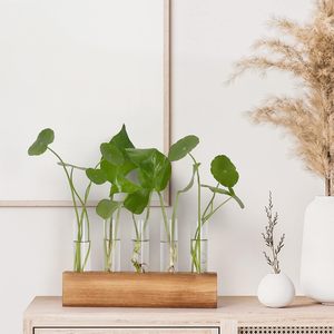 Stations de propagation, terrarium pour plantes avec support en bois, 5 vases en verre en forme de tubes à essai, cadeaux d'anniversaire pour femmes, mamans, amateurs de plantes - Product Image 3