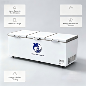 Congelador Horizontal de Gran Capacidad para Almacenamiento Industrial, Compresor de Bajo Consumo para Tiendas de Mariscos y Aplicaciones Comerciales de Alimentos al por Mayor - Product Image 3