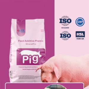 Premezcla para Engorde de Cerdos, Promotor de Crecimiento Rápido, Aditivo para Alimento de Cerdos, Premezcla para Engorde de Cerdos - Product Image 1