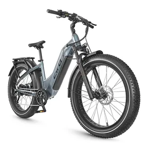 해변 750w 강력한 모터 전기 자전거 산과 52V 20ah 대용량 배터리 산 ebike를위한 최고의 ebike