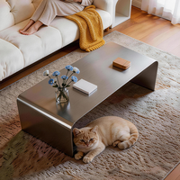 Table basse mobile haut de gamme en acier inoxydable pour salon - Table d'appoint de luxe de designer italien minimaliste écologique