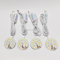 Lámpara Nocturna LED Mini de 5V Personalizable, Chip LED CCT Blanco, Diseño Moderno, Incluye Cable USB, Placas de Circuito Personalizadas, Luces Nocturnas DIY