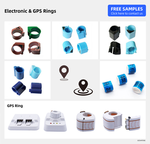 Racing <strong>Pigeon</strong> <strong>Ring</strong> Factory - Product Image 4