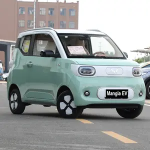 2024 nuevo vehículo eléctrico Wuling Hongguang Mini EV para conducción de vehículos eléctricos de alta velocidad para adultos