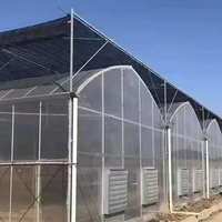 Serre Multispan à bas prix pour toutes sortes de plantes Serre personnalisée Cadre en acier galvanisé à chaud pour légumes