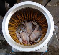 Machine de plumage de volaille P50 50 50l, ustensile de pêche haute efficacité pour poulet, chèvre et canard
