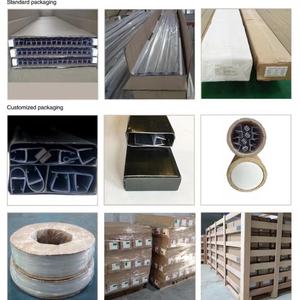 Milieuvriendelijke P880ws Deurvenster & Accessoires Dual Durometer Pvc Afdichting En Strip Voor Bodem Show Glazen Deur - Product Image 5