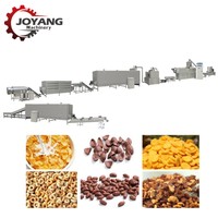 Productielijn voor het maken van multigrain frosted corn wheat bran flakes, chocoladeballetjes, schelpjes, ringen en ontbijtgranen met een extruder.