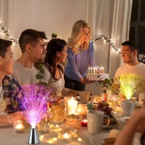 Luces LED de Fibra Óptica para Decoración del Hogar, Fiestas, Cumpleaños, San Valentín, Bodas, Venta al por Mayor, Plástico, IP43, CRI 80, Certificación CE - Product Image 4