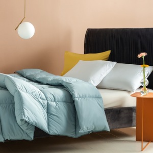 Piumino in <span class=keywords><strong>Velluto</strong></span> con Inserto in Piuma, Misura <span class=keywords><strong>Matrimoniale</strong></span>, <span class=keywords><strong>Trapunta</strong></span> Spessa per Primavera e Autunno, per Hotel e Uso Domestico - Product Image 5